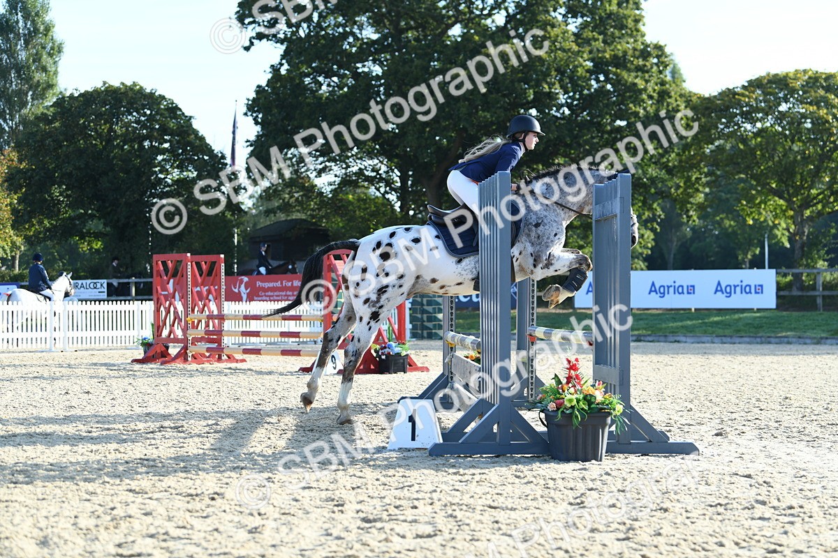 SBM_58326 - J24 - Junior Horse 75cm Championship