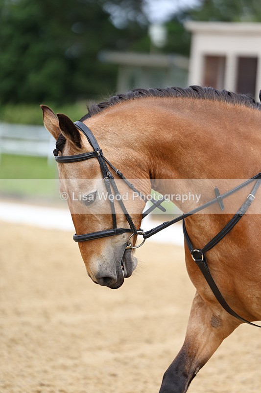 3E7A9149 - Class 2: Intro 1 2024 Section B