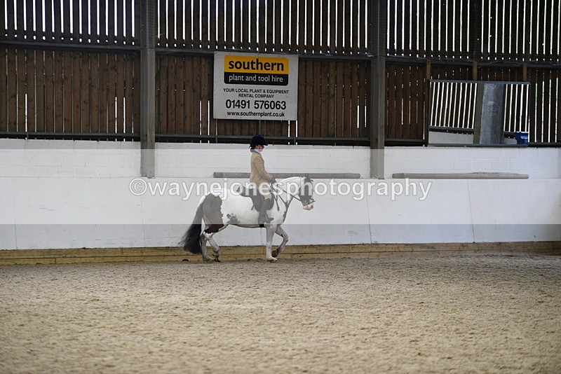 WJ5_7376 - Class 11 Ridden PC - RC Pony