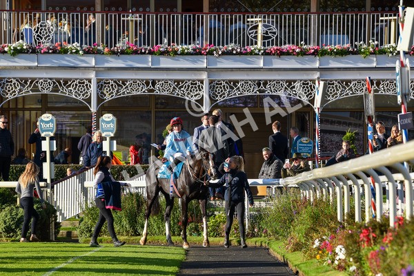 141023-Race 6-Punctuation-1517 - Race 6 4.10pm Coral Get Closer To The Action Handicap