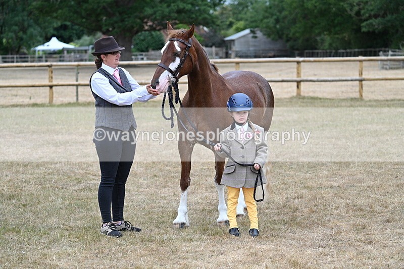 WJ7_9347 - Prettiest Mare Champs