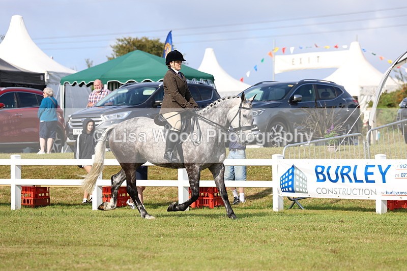 3E7A8798 - Class 3: Rising Star S/L Hunter