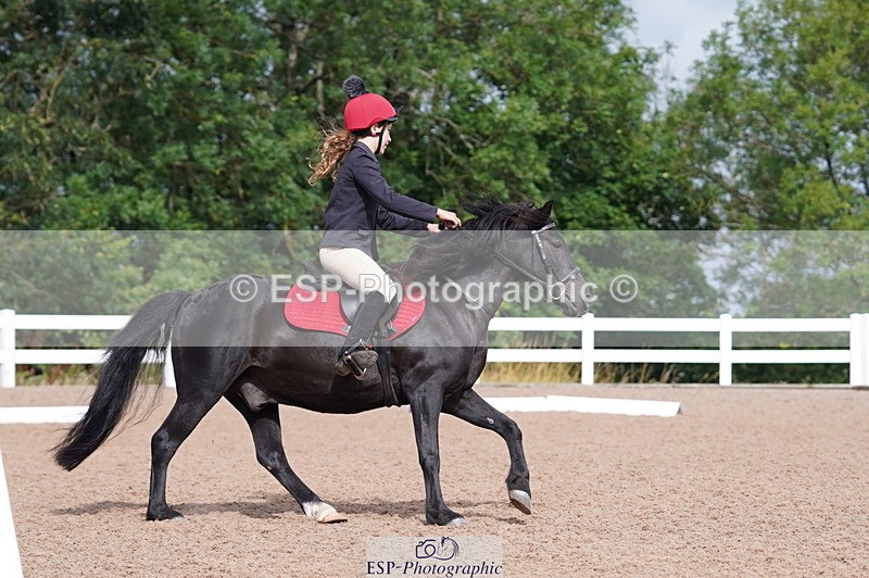 240809A-102518-00534 - Dressage Competition