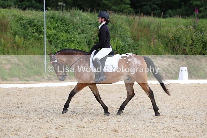 3E7A1460 - Class 2: Intro 2 2024 Section B