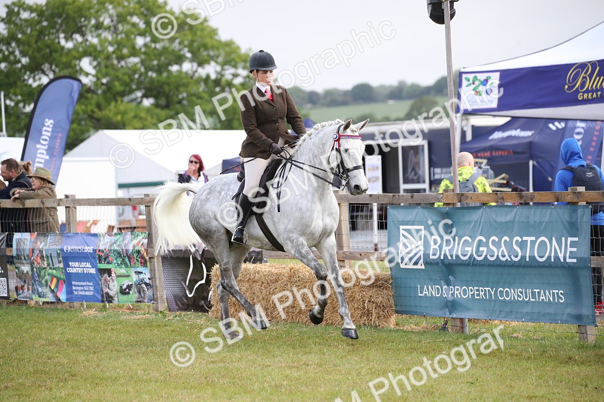 SBM_11509 - Class 95-96 - LIHS BSHA Rising Star Hack Riding Horse