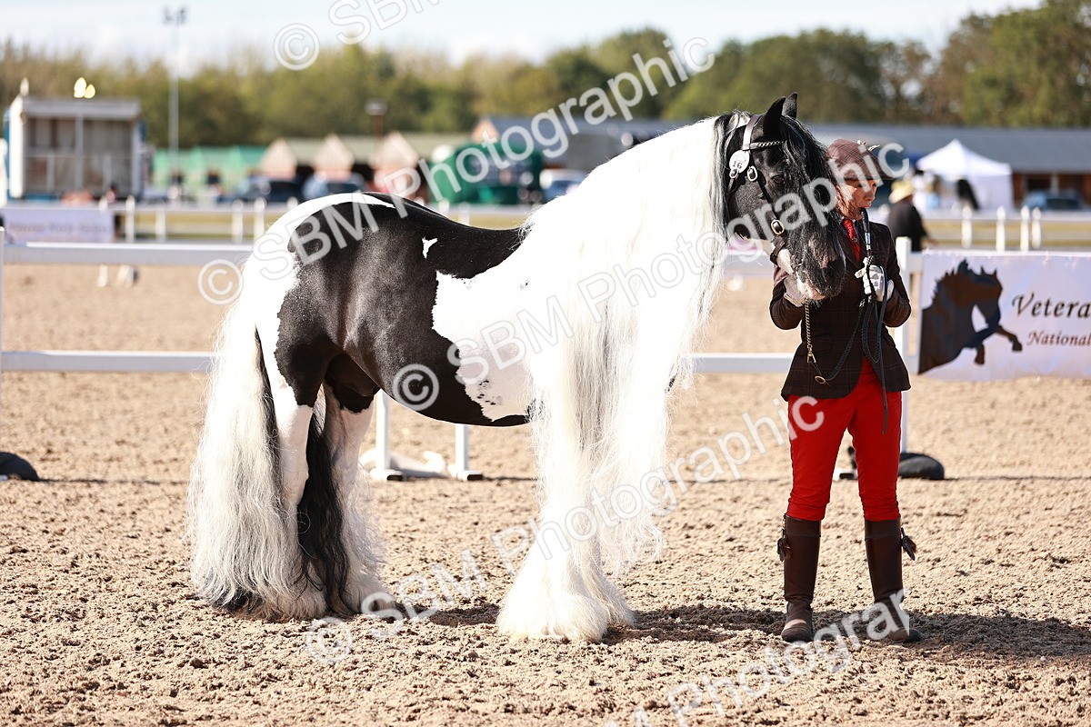 SBM_12596 - Class 404 - IH Traditional - Native Cob