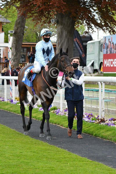 yr14052021r2-26 - Race 2 2.10pm Oak Farm Stables Fillies' Stakes (registered as the Michael Seely Memorial Stakes)