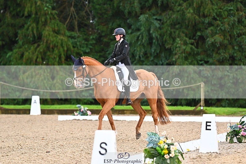 231021-092245-12520 - 223-RASCAL.ROULETTE-Charlotte.Byrnes-DR