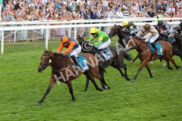 yr23072022r7-17 - Race 7 5.35pm Sky Bet Paying Extra Places Stakes