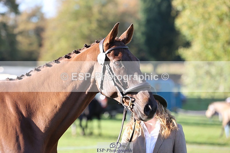 241027-092539-15285 - 443-Bethan.O'Dell-RED.VICO