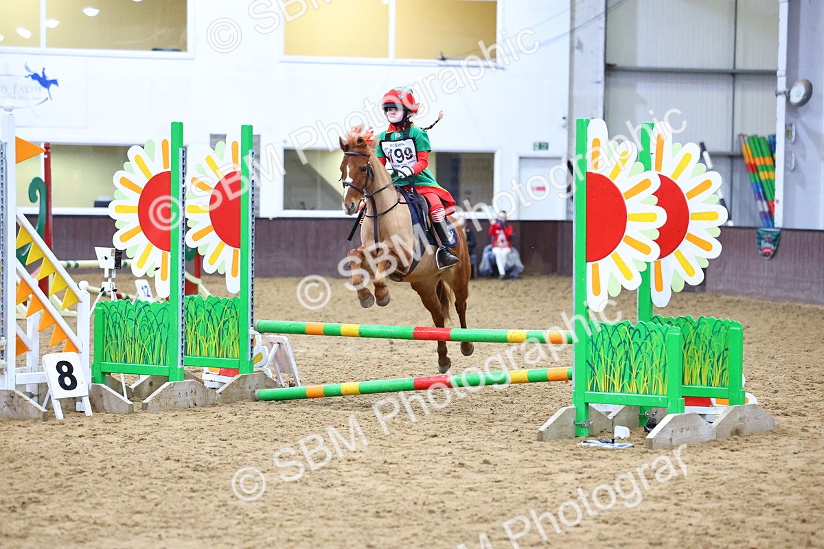 SBM_001446 - Class 3 - Christmas Tree Stakes - 60cm