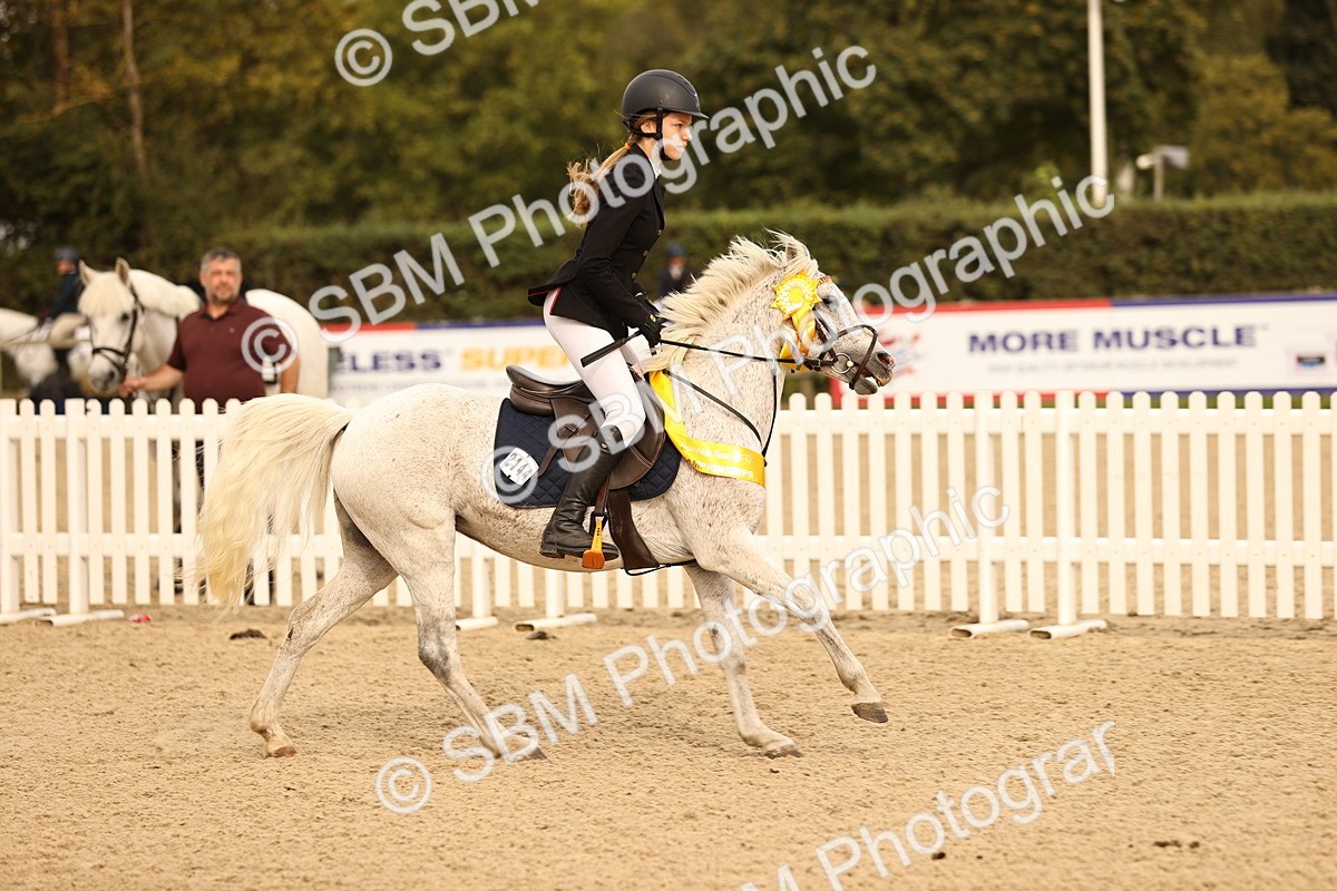 SBM_70866 - J13 - Junior Pony 60cm Championship