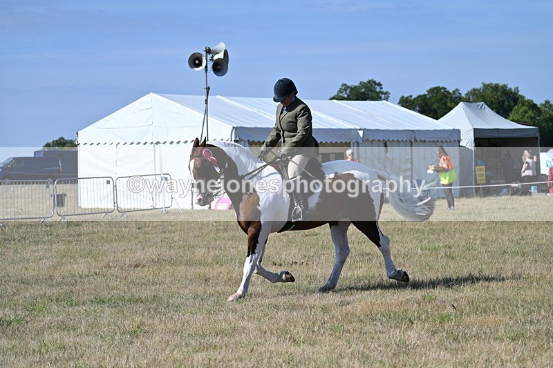 WJ7_3287 - Class 8 Ridden Tack & Turnout