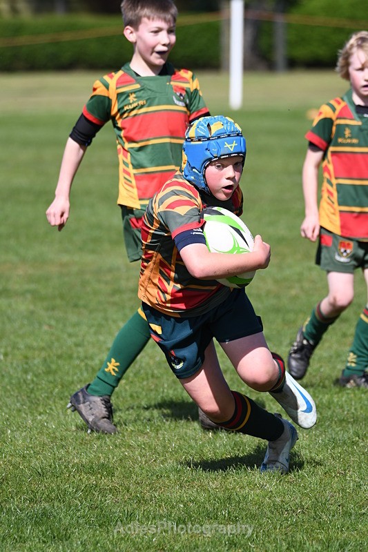  - Selby Rugby Festival 2025