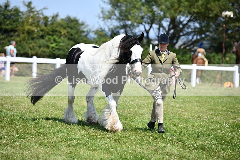 DSC_7753 - Class 64: Coloured Pony 4yrs & over