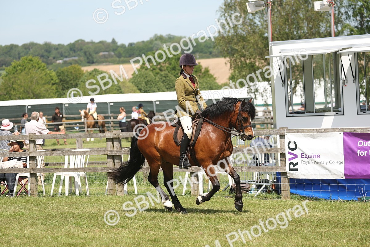 SBM_06922 - Class 26-30 - Mountain and Moorland Ridden