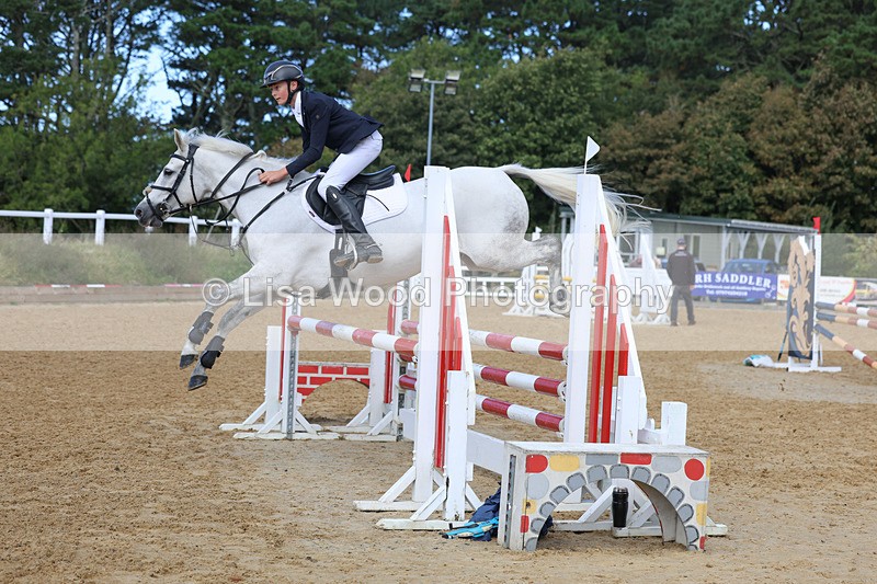 3E7A9208 - Class 9: Senior British Novice/90cm open