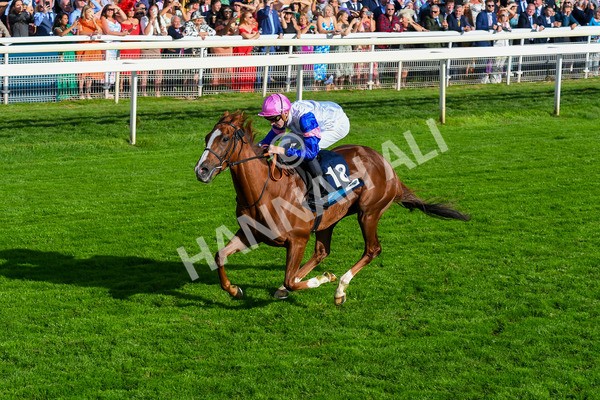 240823-Race 7-Nigiri-0879 - Race 7 5.20pm British EBF 40th Anniversary Fillies' Handicap