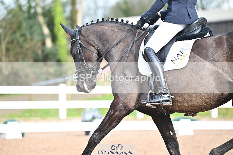 240218A-115718-06928 - 204-Elder.Klatzko-Dynasty.Hit