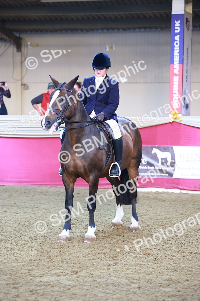 SBM_14706 - Class B - Junior Champ 11 to 16 Years