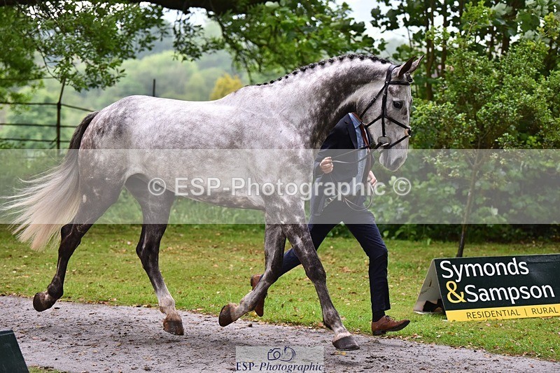 240522-162522-00905 - 202-WHIXLEY_QUALITAS-Barnie_Brotherton