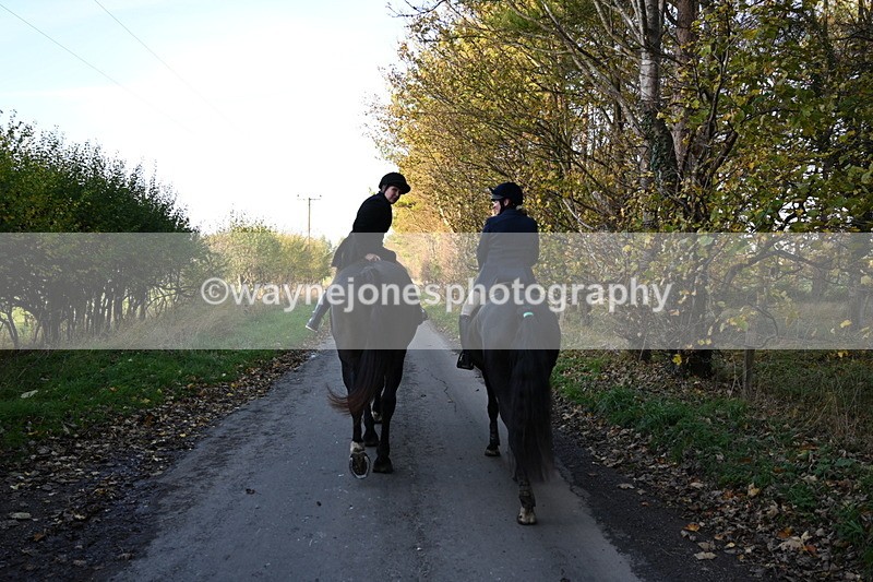 WJ6_9844 - Walk Home