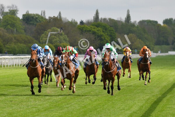 yr14052021r7-18 - Race 7 4.50pm Irish Thoroughbred Marketing Stakes