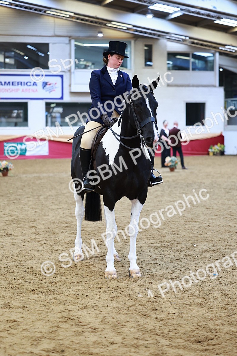 SBM_23418 - class 906 - Supreme Final - Ridden Pre Vet