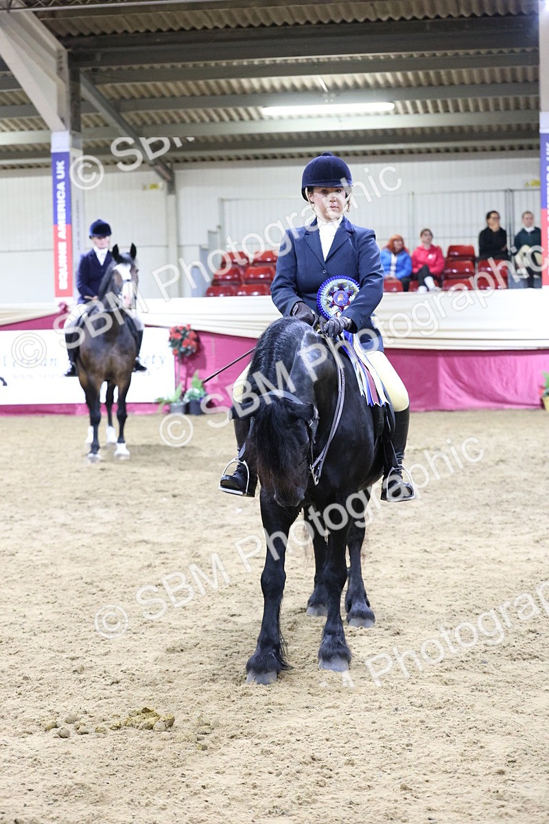 SBM_21411 - Class T - Working Veteran Champs