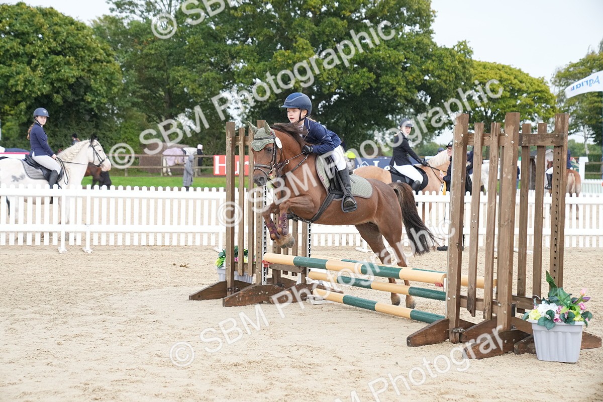 SBM_01757 - J54 - Clear Round 50cm