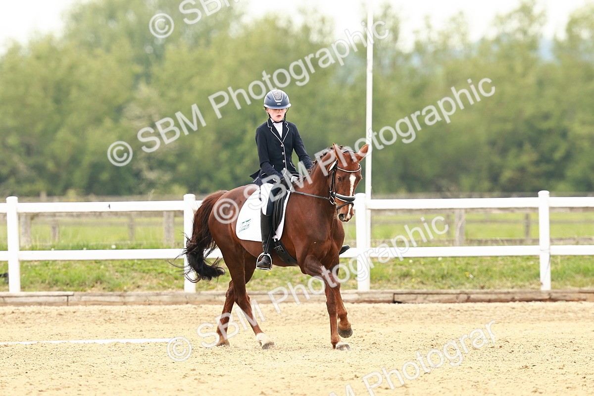 SBM_001137 - Class 6 - Novice 4
