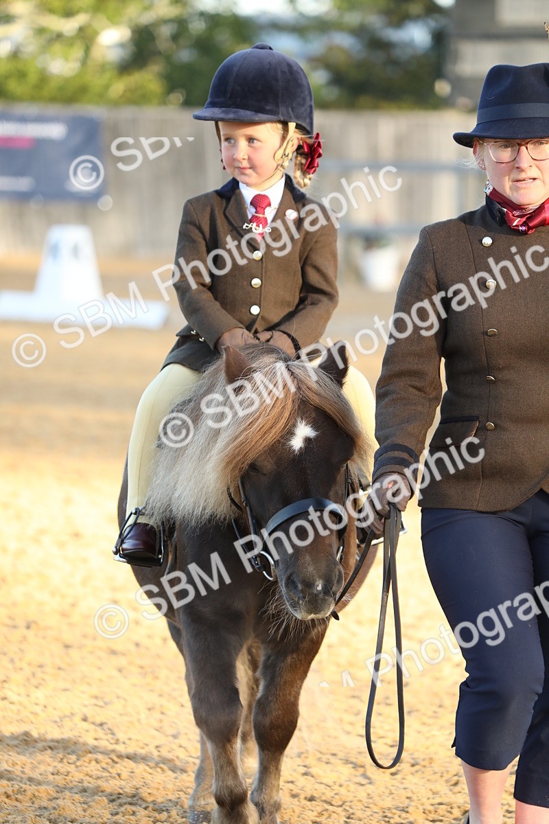 SBM_33543 - D26 - Starers - Lead Rein