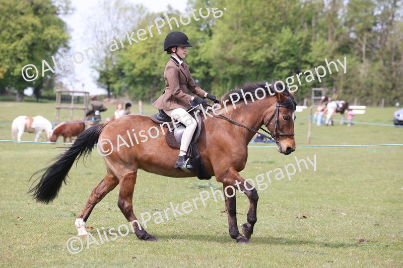 20260426-2980 - Class 33 - Best Pony 14.2hh and Under
