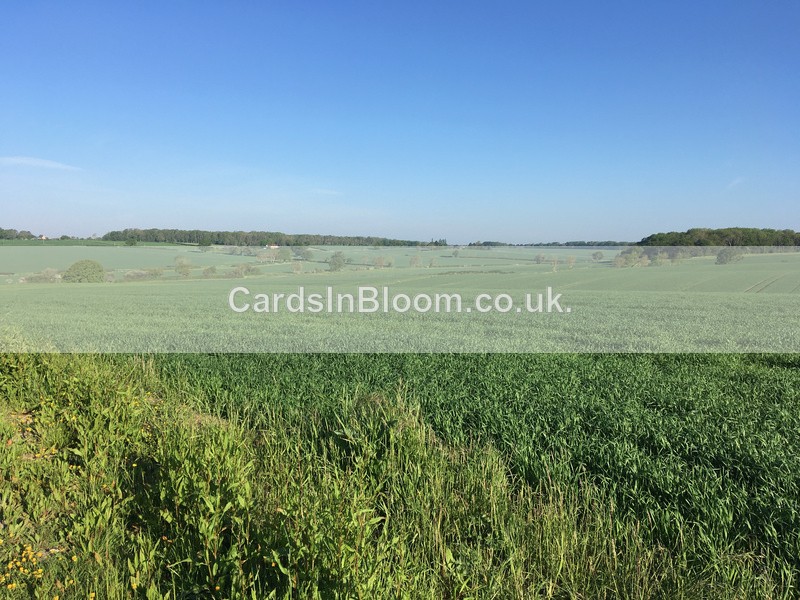 08 Country views - COUNTRYSIDE
