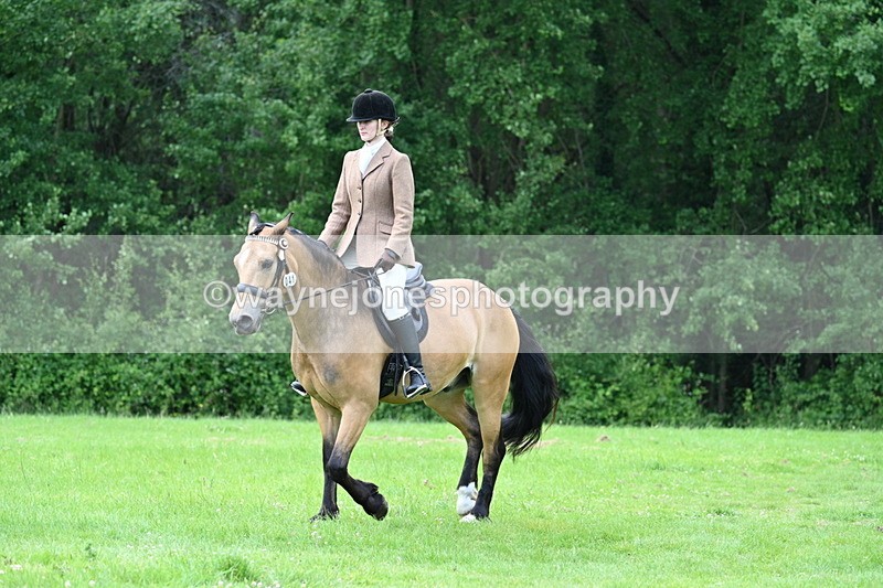 WJ7_2531 - Class 12A Coloured Class