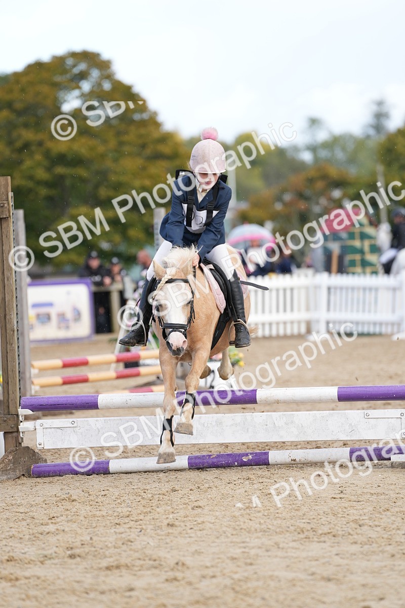 SBM_21148 - J49 - Open 50cm