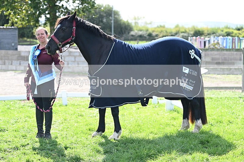 WJ7_1732 - 80cm Champs