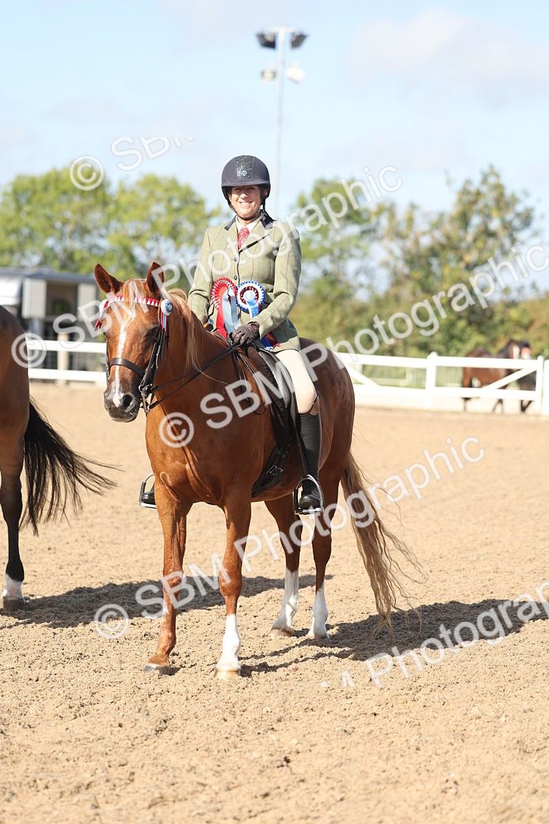 SBM_22343 - Class 803 - Ridden Combination 65+