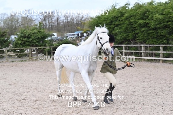 BPP_7248 - RING 1  (RIDDEN HORSES / IN HAND / VETERAN ETC)