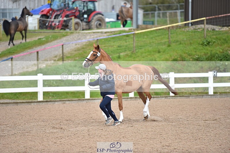 240417A-151256-00779 - 3pm to 4pm