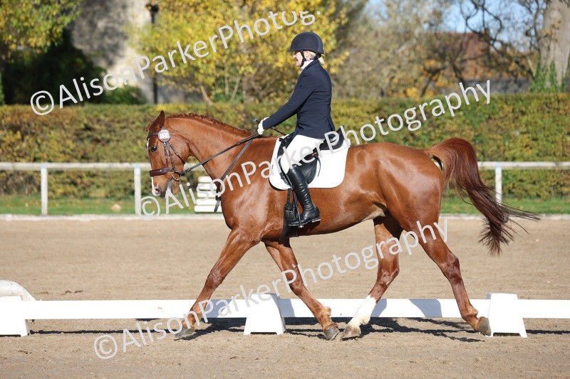 20251102-0521 - Class 3 - Novice 5