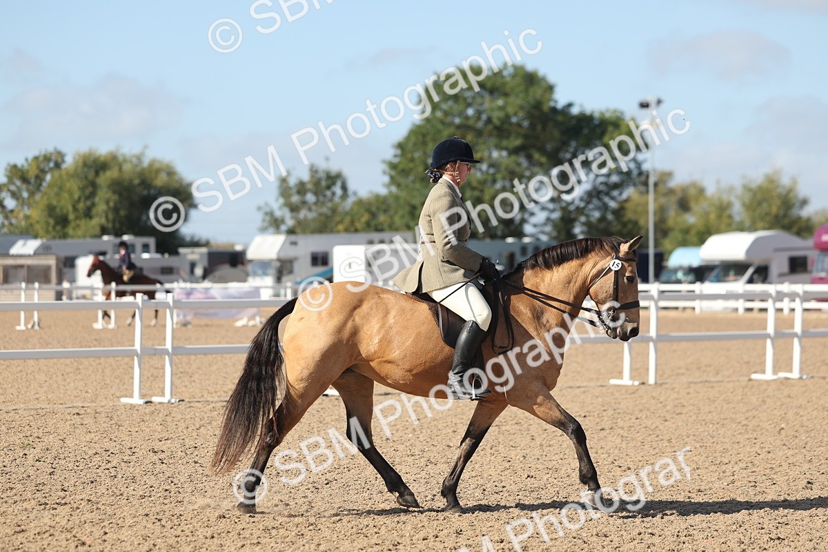SBM_22614 - Class 804 - Ridden Veteran Pony