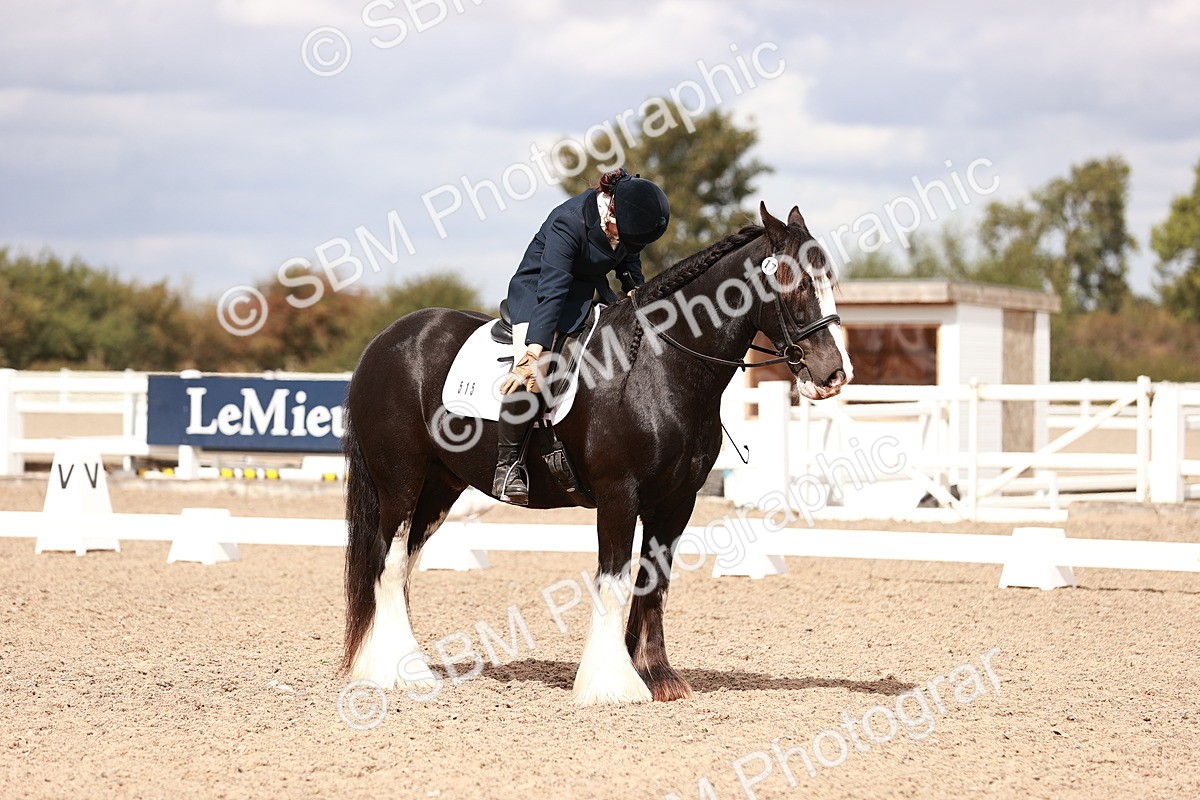 SBM_06219 - Class 37 - Novice 5