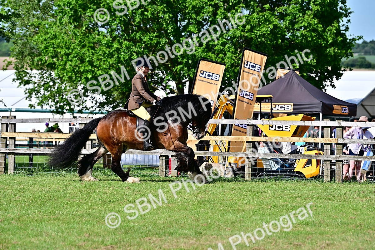 SBM_09362 - Class 63-65 - Traditional Gypsy Cobs In Hand & Ridden