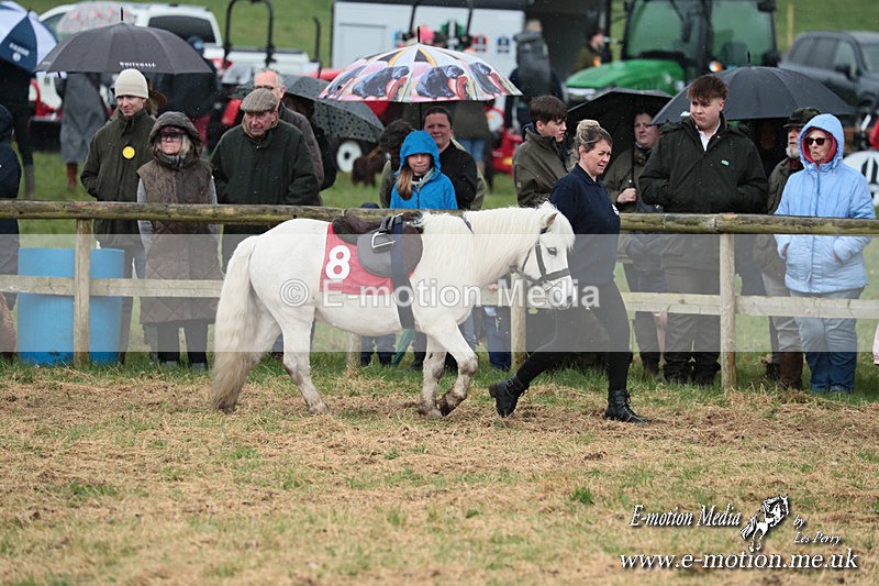 SHETPR 210425 46 - Shetland Ponies Paxford Races 21/04/25