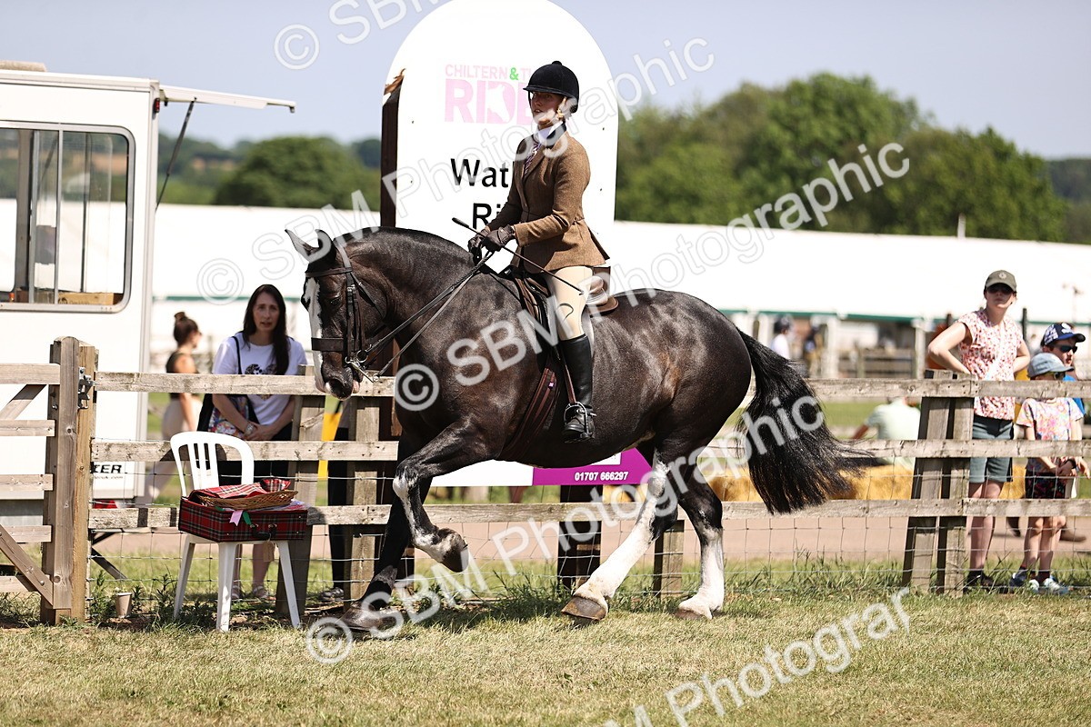 SBM_17862 - Class 81-83 - TSR Ridden Amateur of the Year - Horses