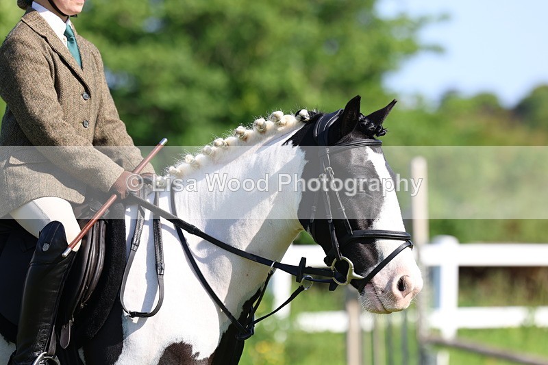 3E7A6009 - Class 27: Novice Working Hunter Pony