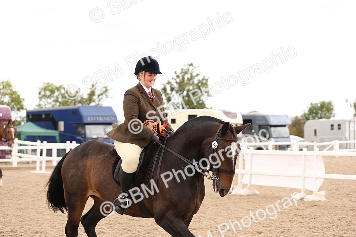 SBM_19612 - Class 215 - Ridden Show cob