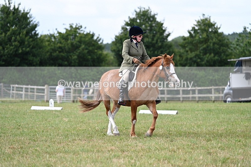 WJ7_3463 - Time 10:28 to 10:42