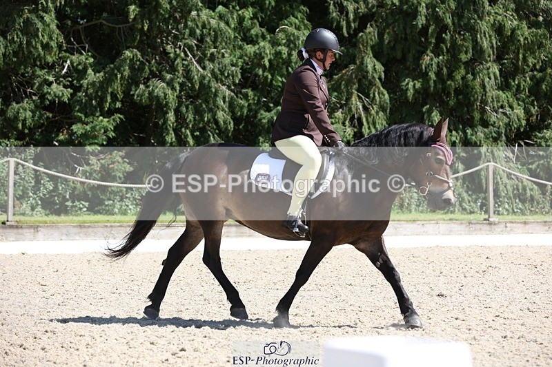 230811-143950-02072 - Cls 1 Prelim Bronze 13.30 to 14.50 break